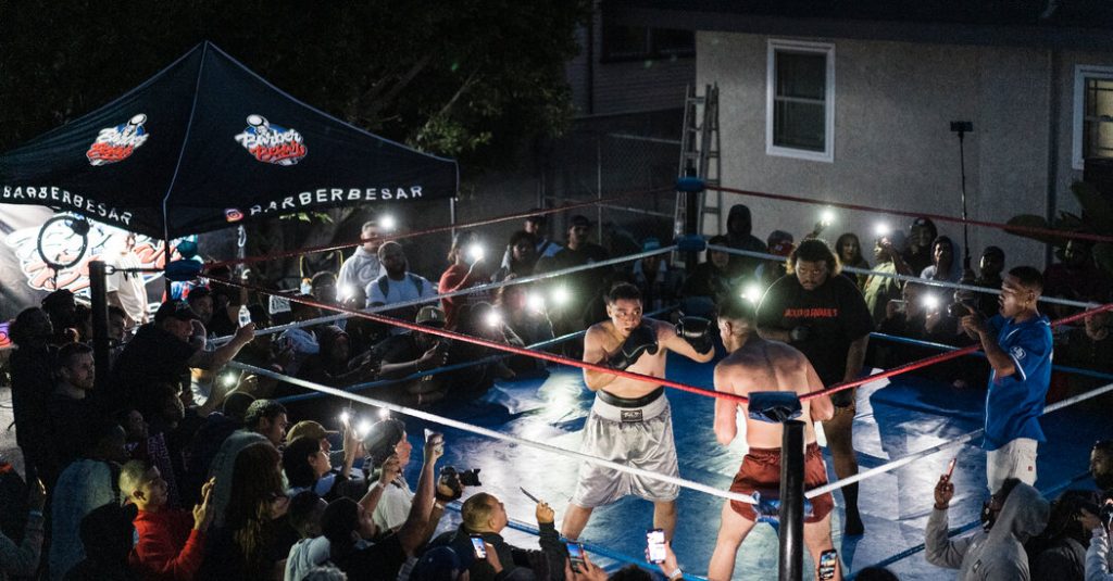 A Homegrown Boxing Startup Meets Its Match: State Regulators