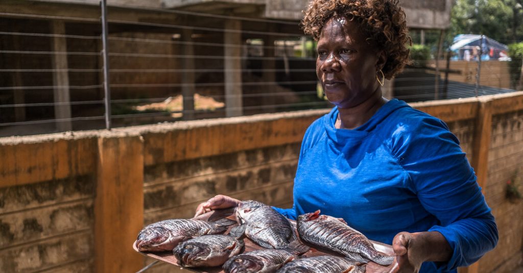 in east africa safari workers wash cars fry fish and struggle to survive