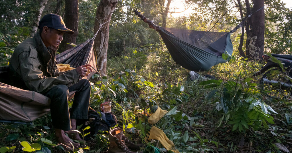 inside the campaign to save an imperiled cambodian rainforest