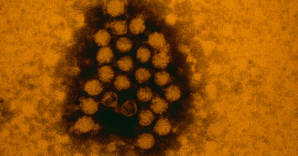 why a coronavirus flu twindemic may never happen