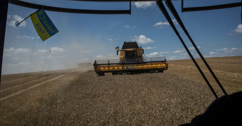 Crops ‘Stored Everywhere’: Ukraine’s Harvest Piles Up
