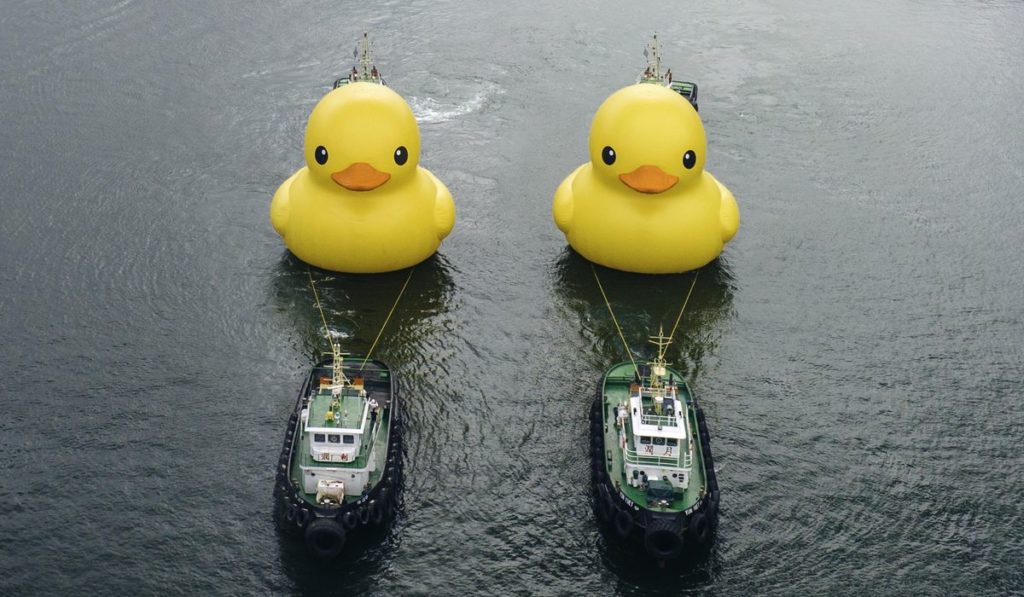 1a The Rubber Duck a5649 c0 1437 2675 2997 s1200x700