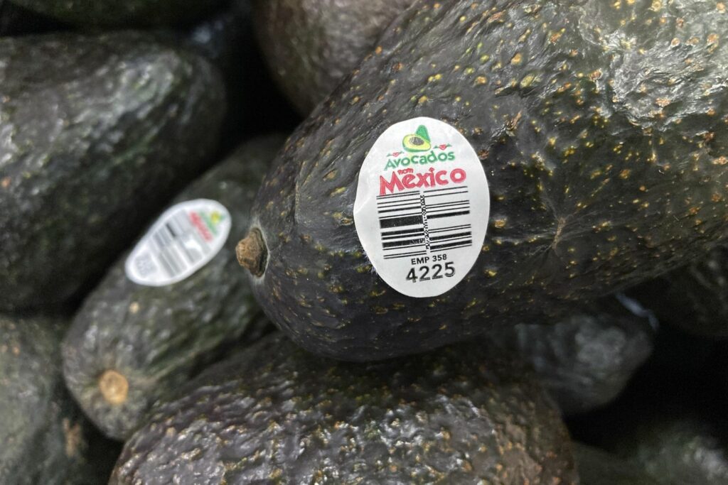 Mexican Avocados 38425 s1440x960